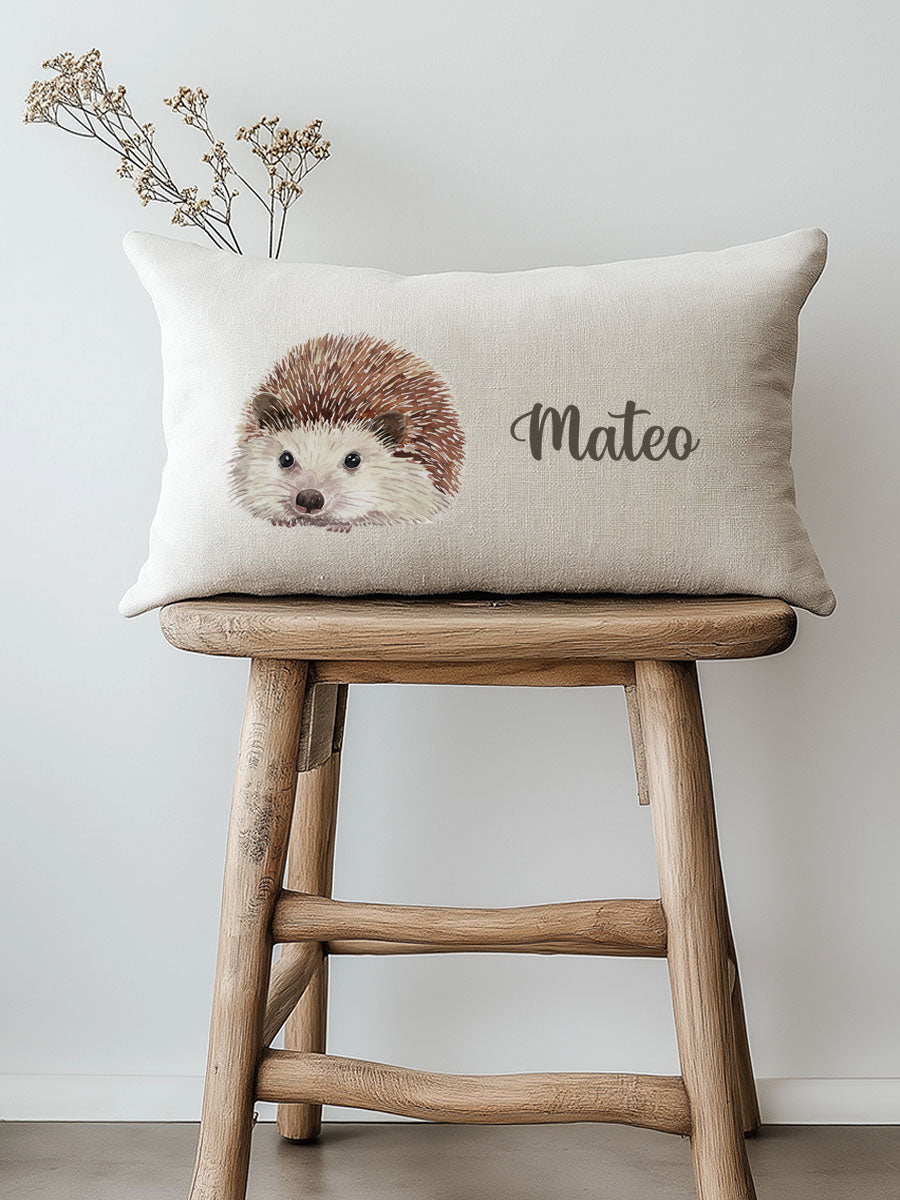 Cojín Erizo