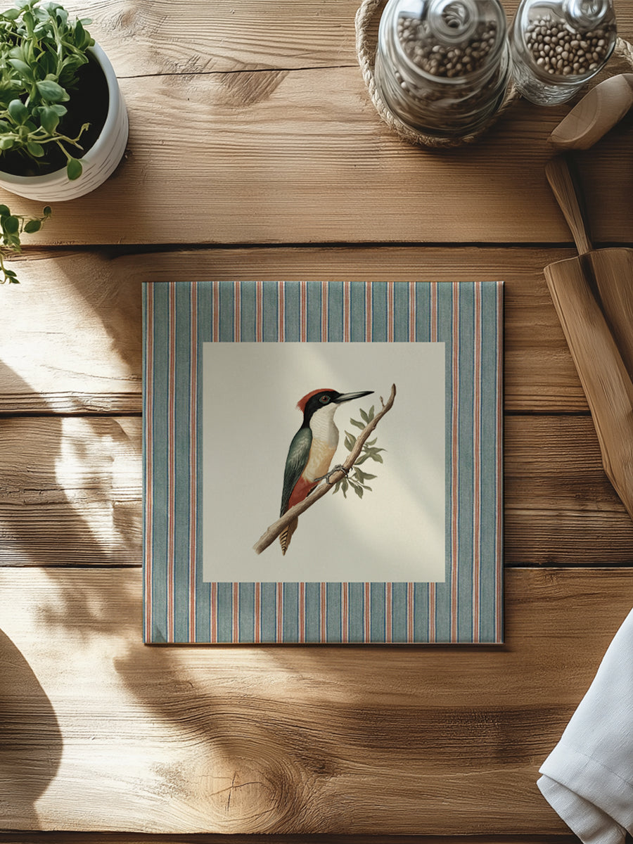 Mantel cuadrado Pájaro Carpintero