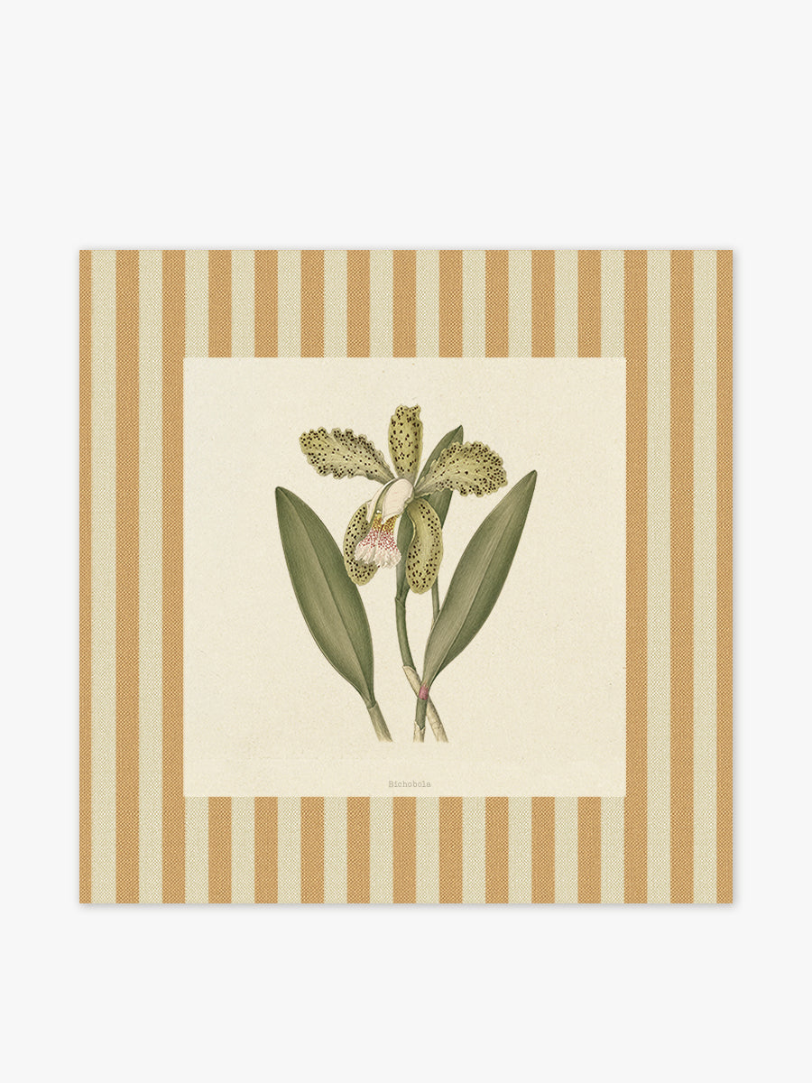 Mantel cuadrado Flores Orquidea