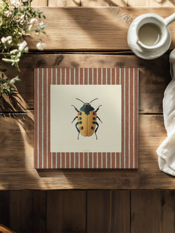 Mantel Cuadrado Insectos Rayas IV
