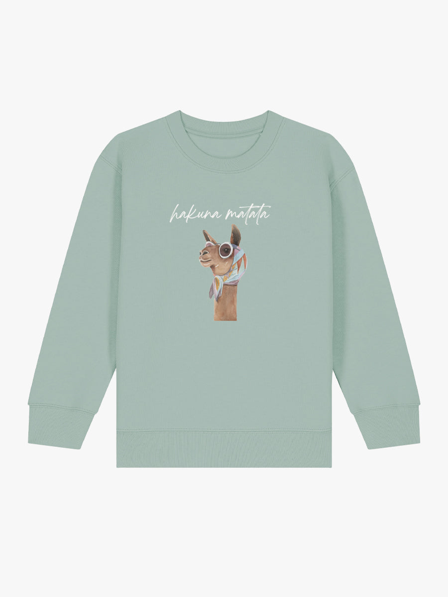 Sudadera niño Camella Maribella