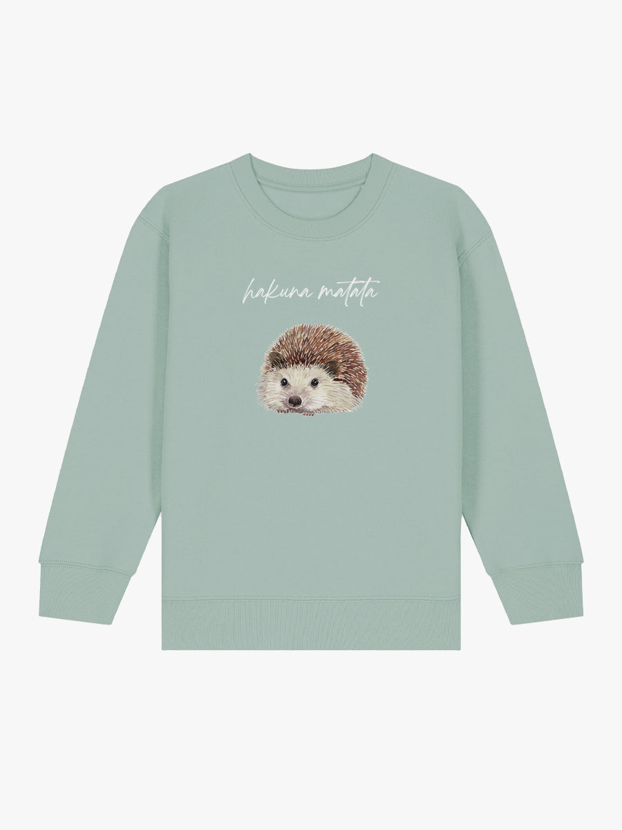 Sudadera niño Erizo