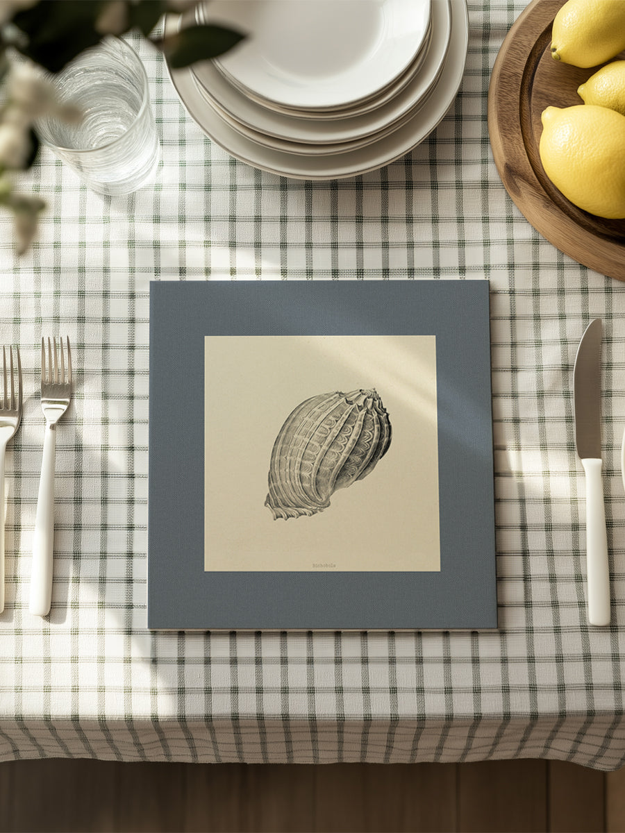 Mantel cuadrado Conchas I