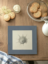 Mantel Cuadrado Conchas VI