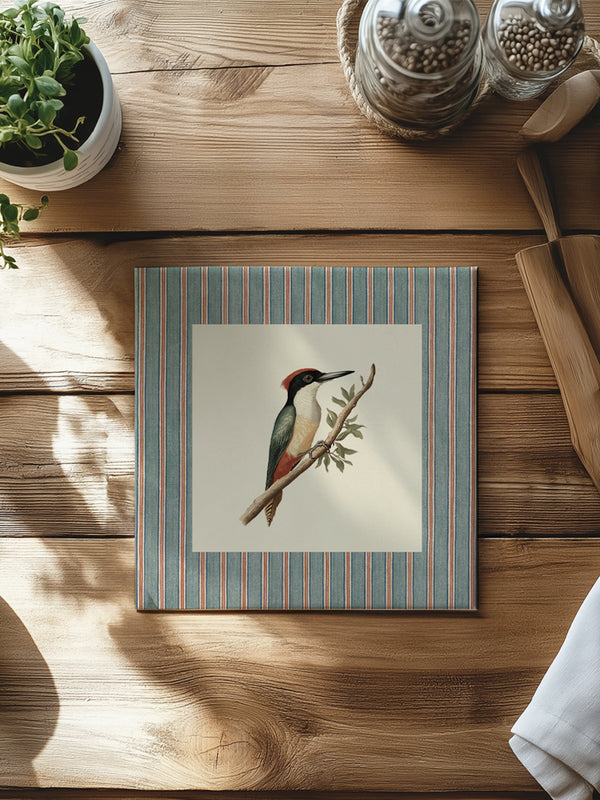 Mantel Cuadrado Pájaro Carpintero
