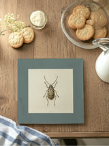 Mantel Cuadrado Escarabajo V