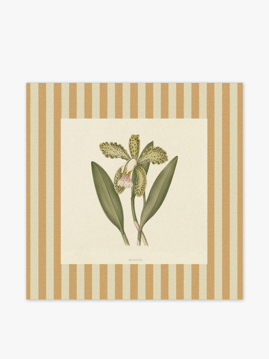 Mantel cuadrado Flores Orquidea