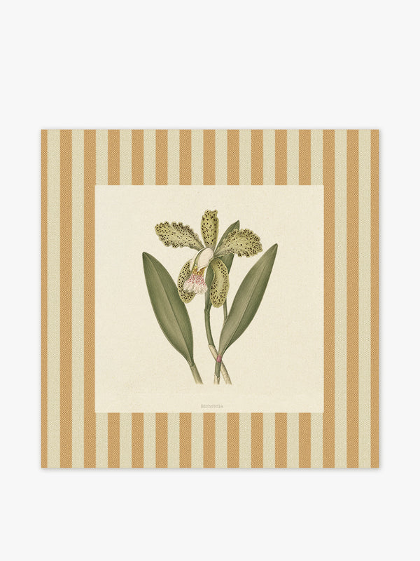 Mantel Cuadrado Flores Orquídea