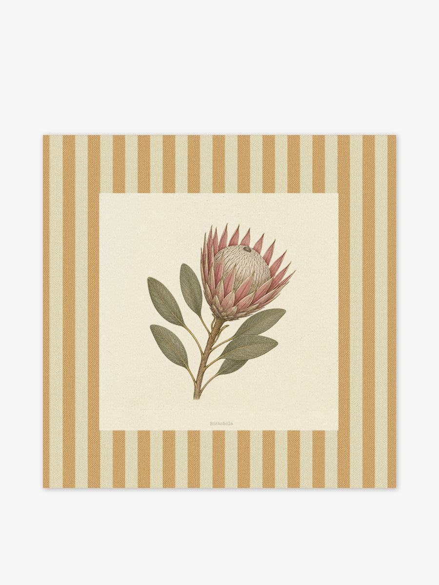 Mantel cuadrado Flores Protea